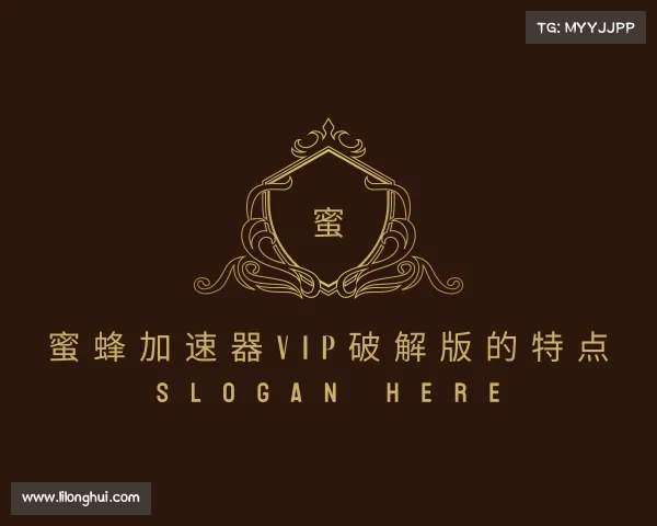 介绍蜜蜂加速器vip破解版的特点